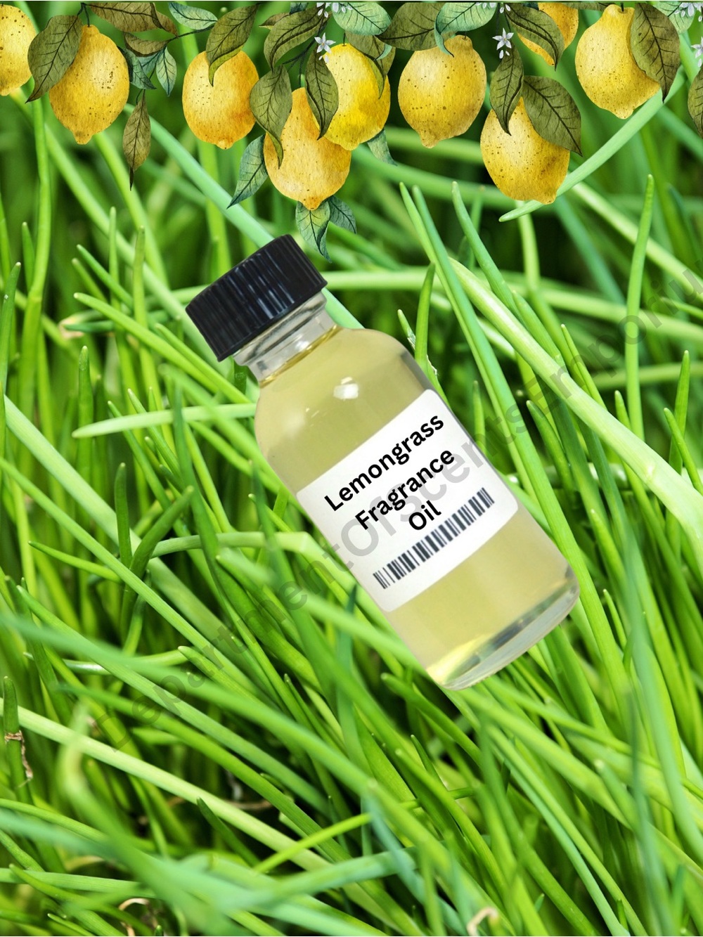 Lemongrass 1 Oz Burning Aromatherapy Vegan Fragrance Oil